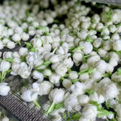 Trà Lạc Tiên Tâm Sen